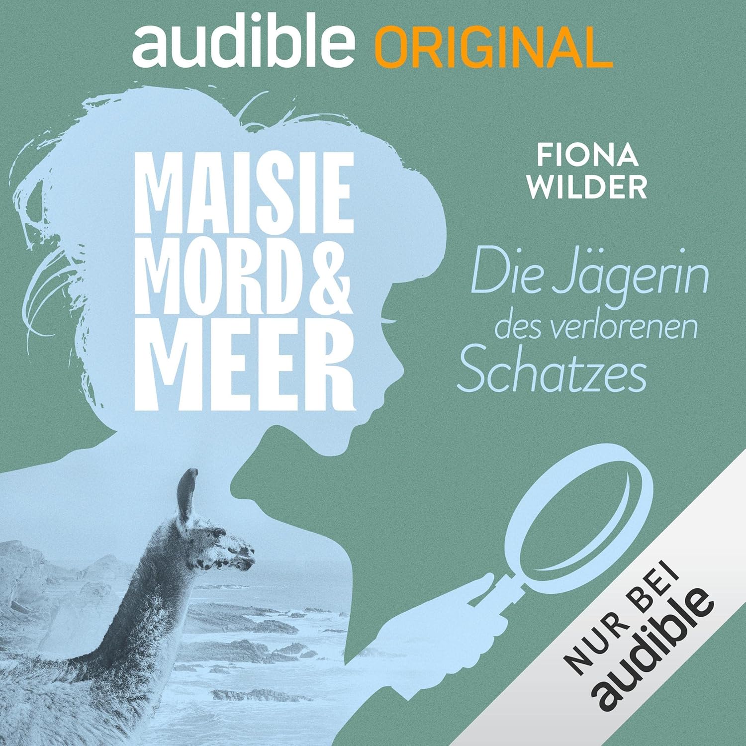Die Jägerin des verlorenen Schatzes book cover
