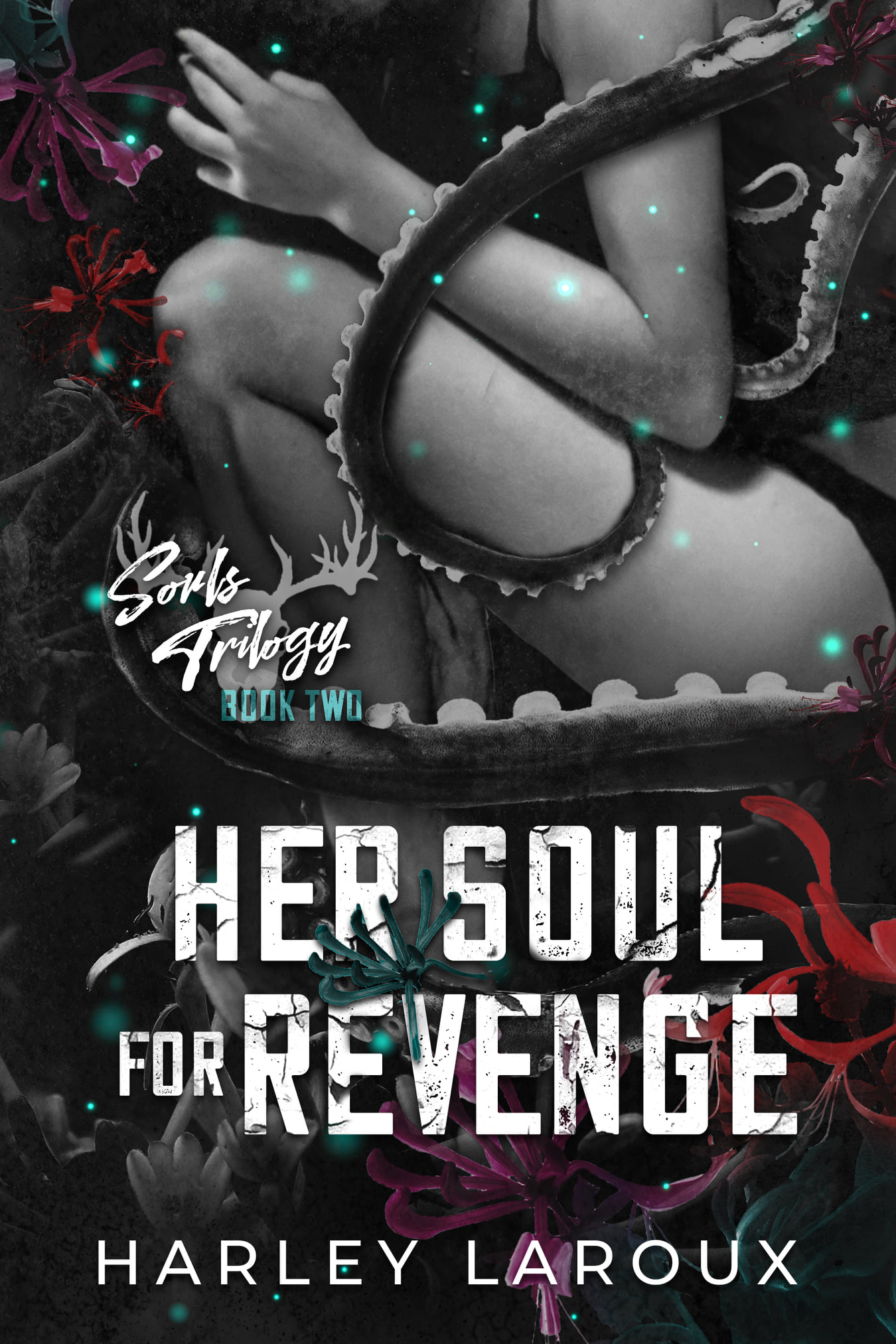 Souls Trilogy book cover 2