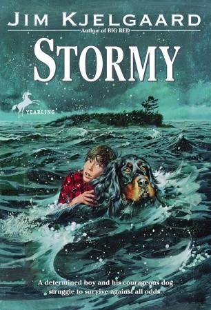 Stormy book cover