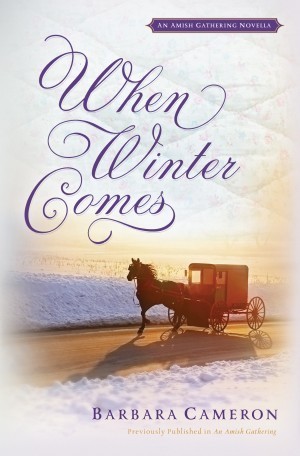 When Winter Comes book cover