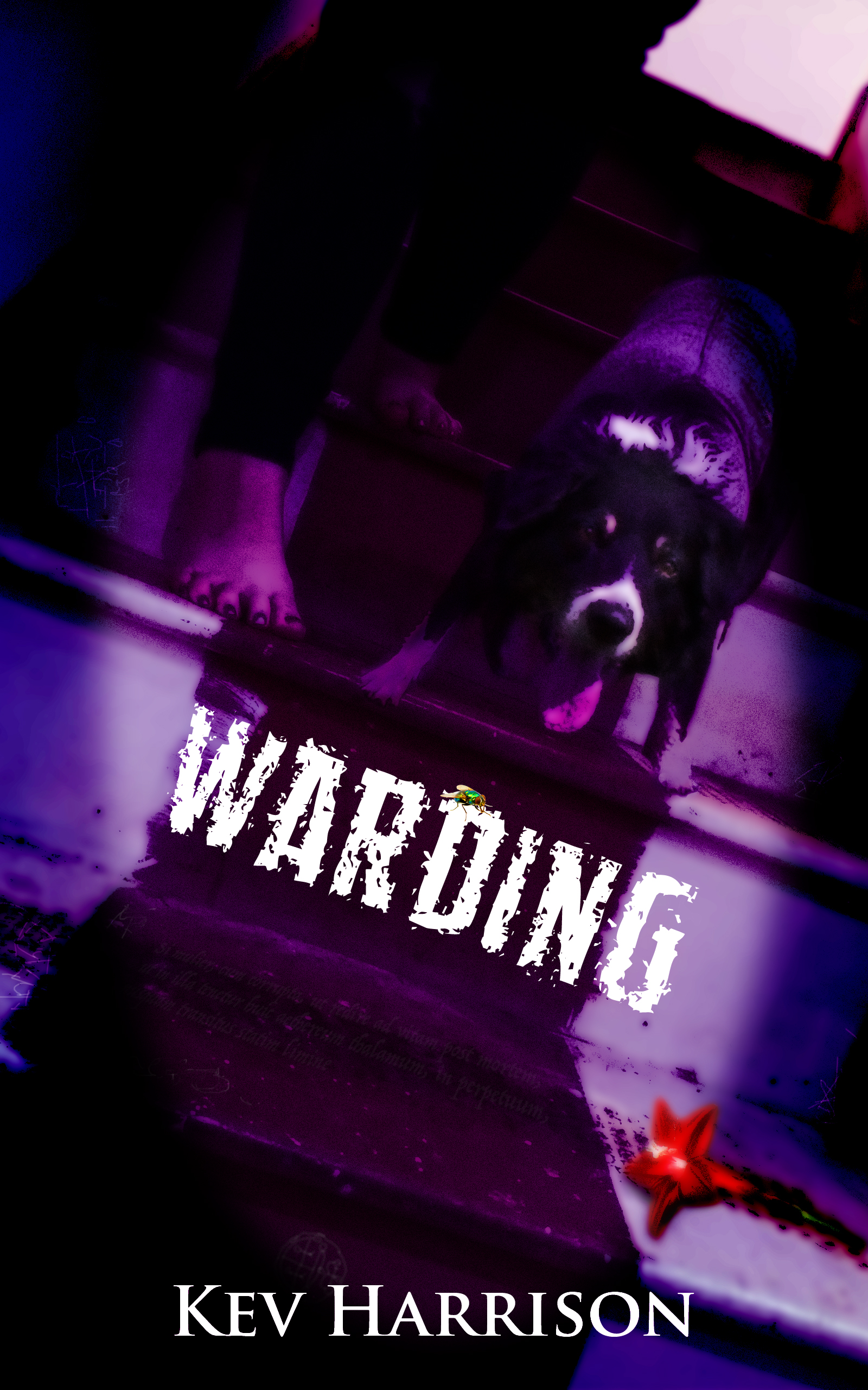 Warding book cover