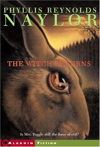 The Witch Returns book cover