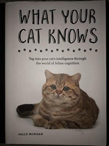 What Your Cat Knows book cover