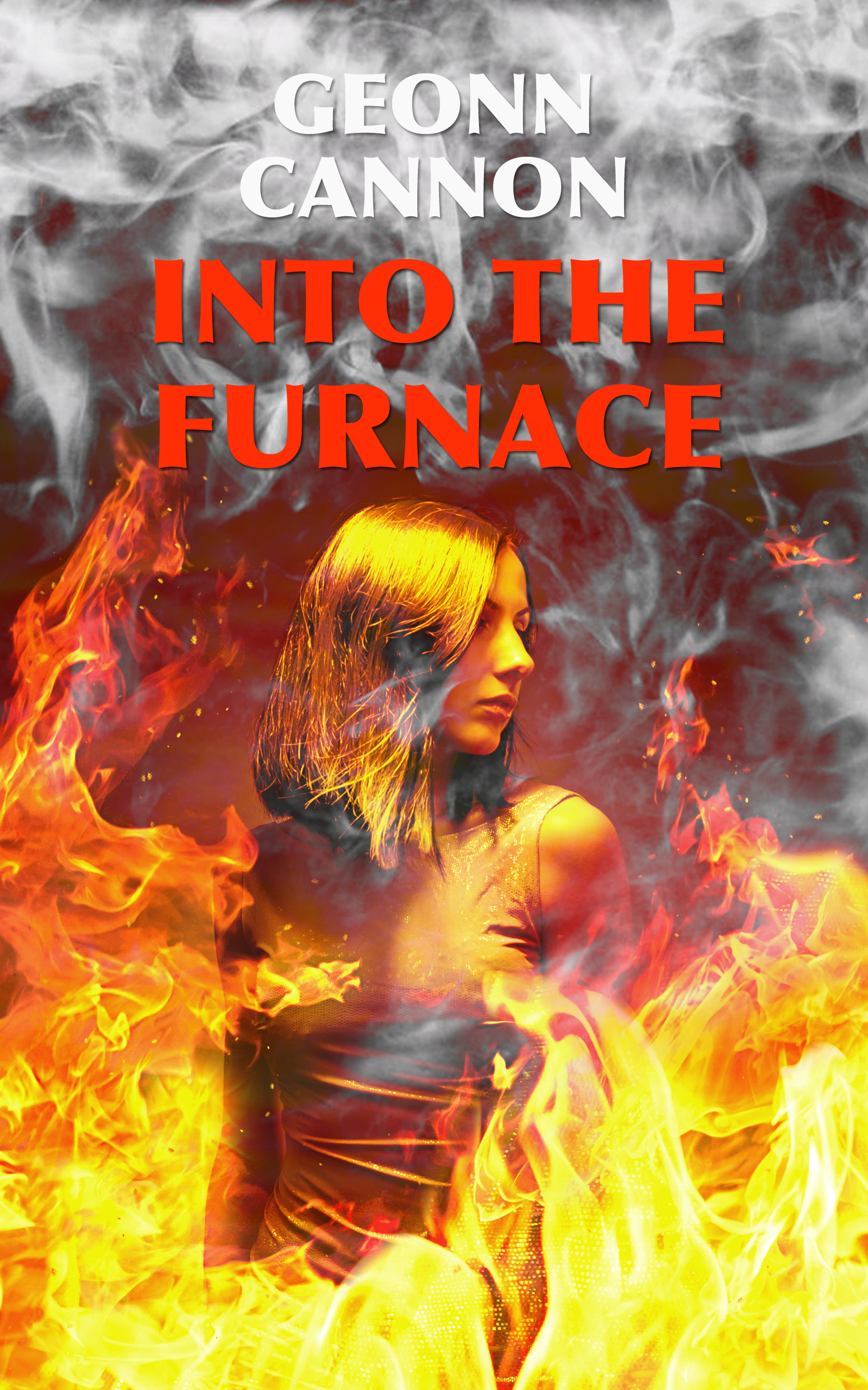 Into the Furnace book cover