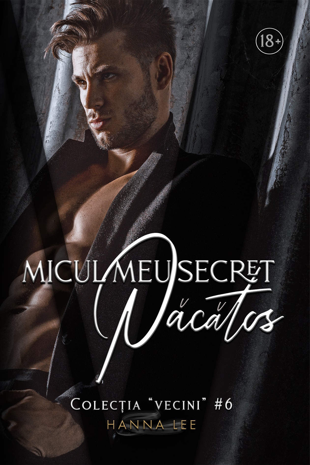 Micul meu secret păcătos book cover