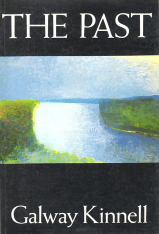 The Past book cover