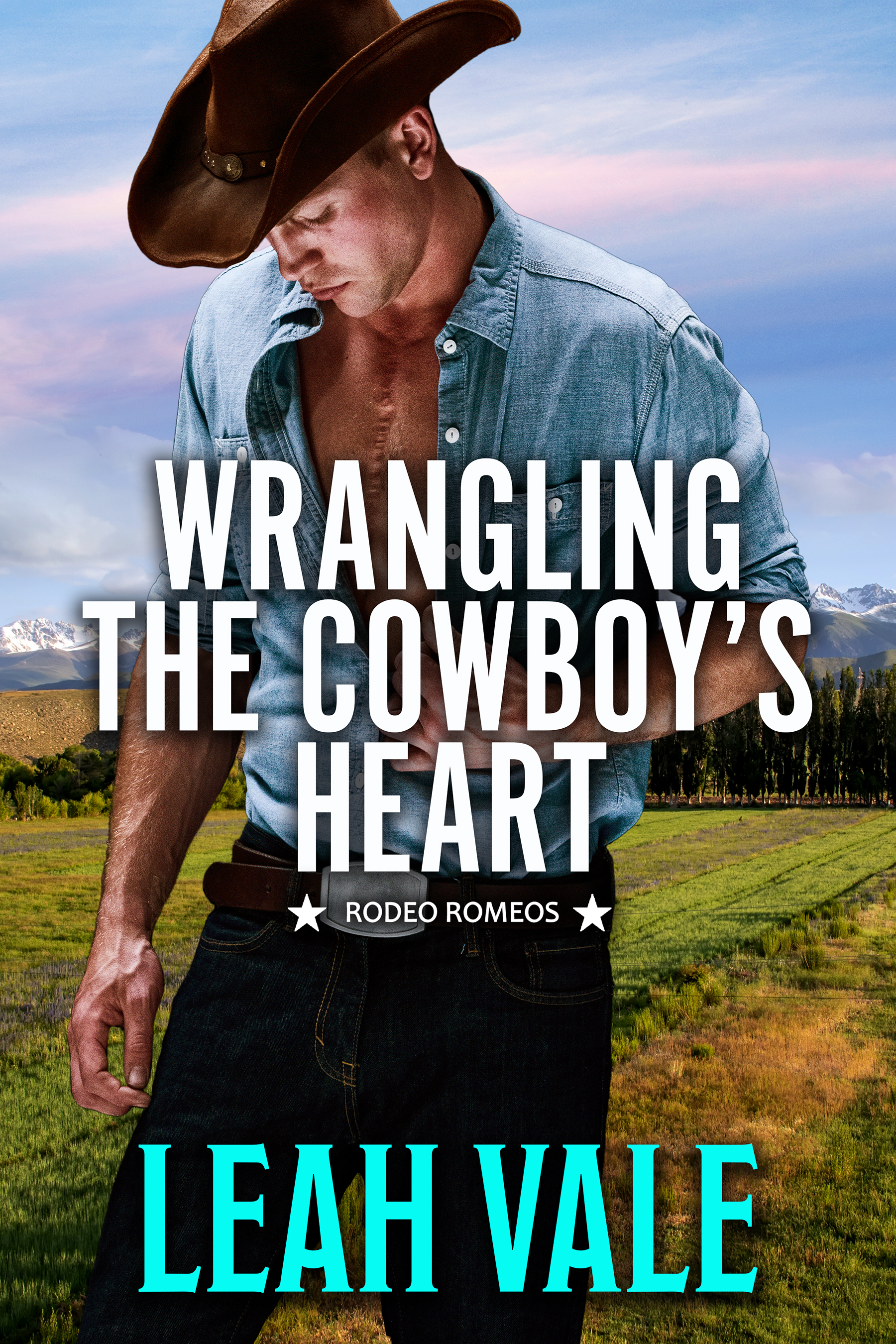 Rodeo Romeos book cover 2