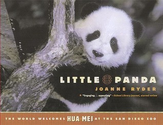 Little Panda book cover