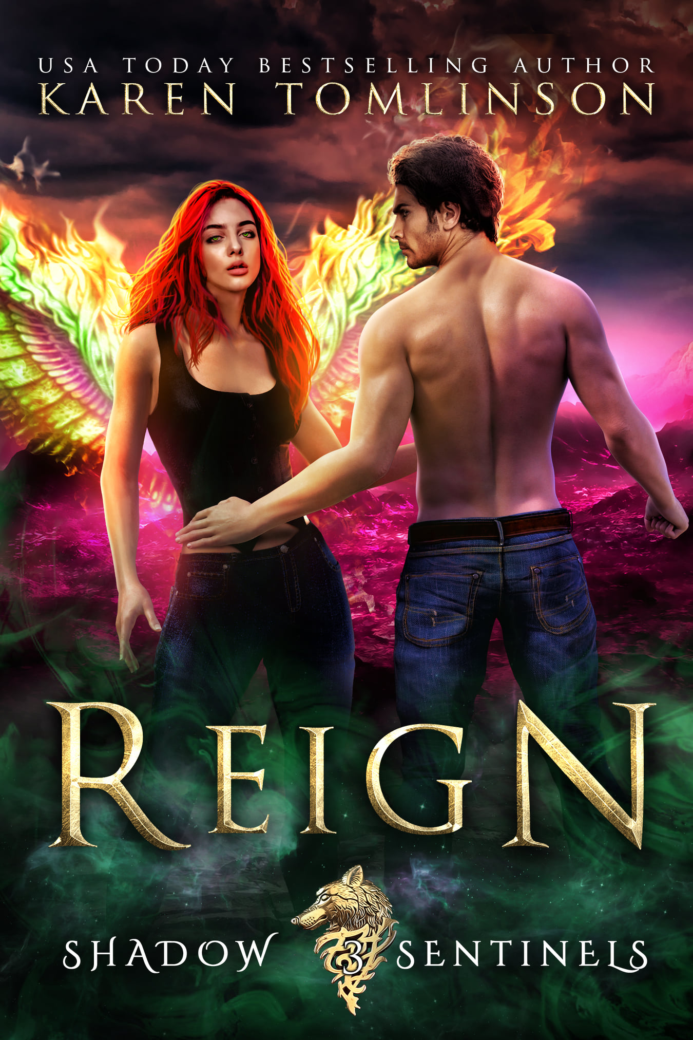 Shadow Sentinels book cover 3