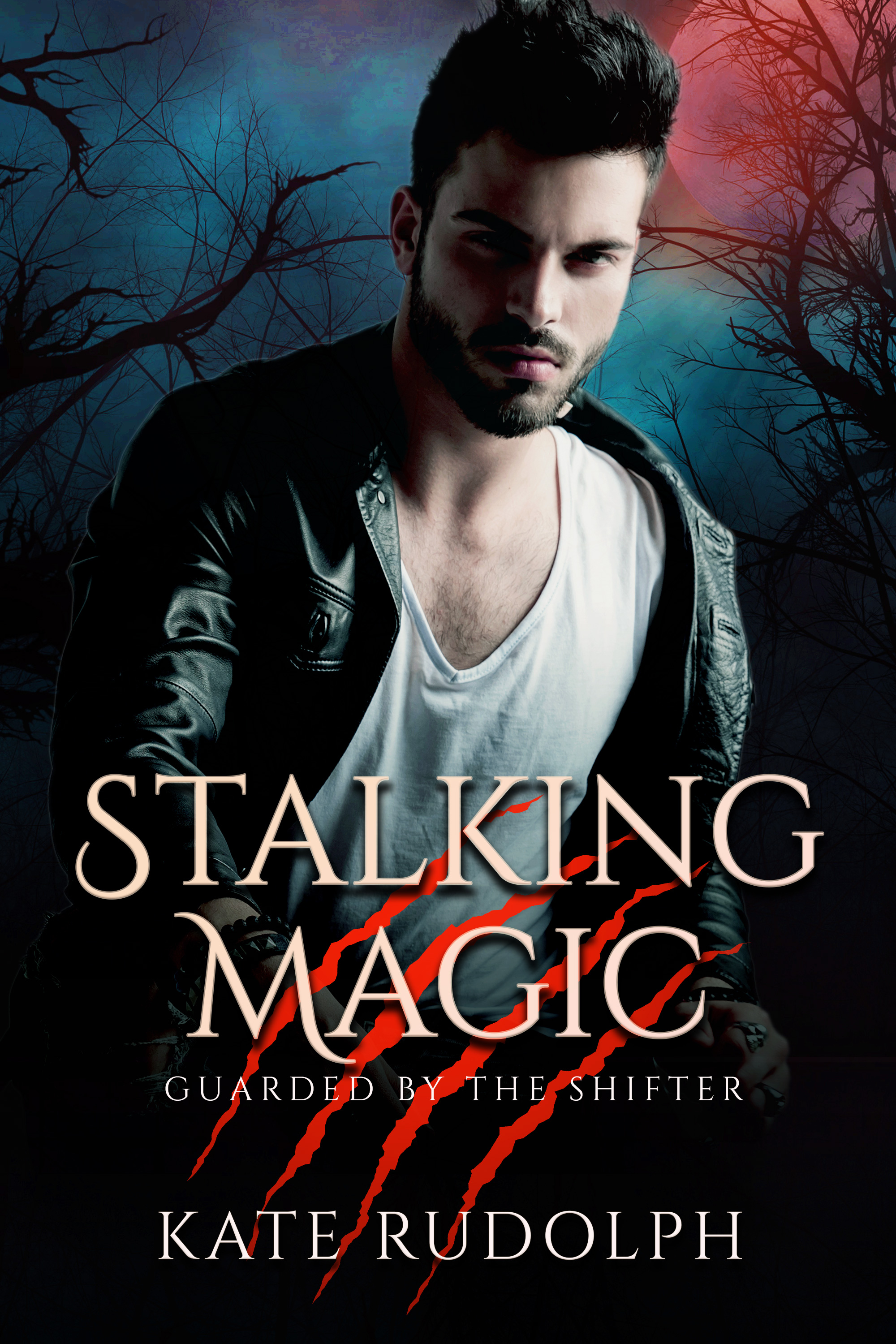 Guarded by the Shifter book cover 3
