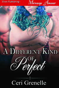 A Different Kind of Perfect book cover