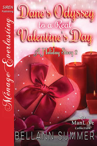 A Holiday Story book cover 2