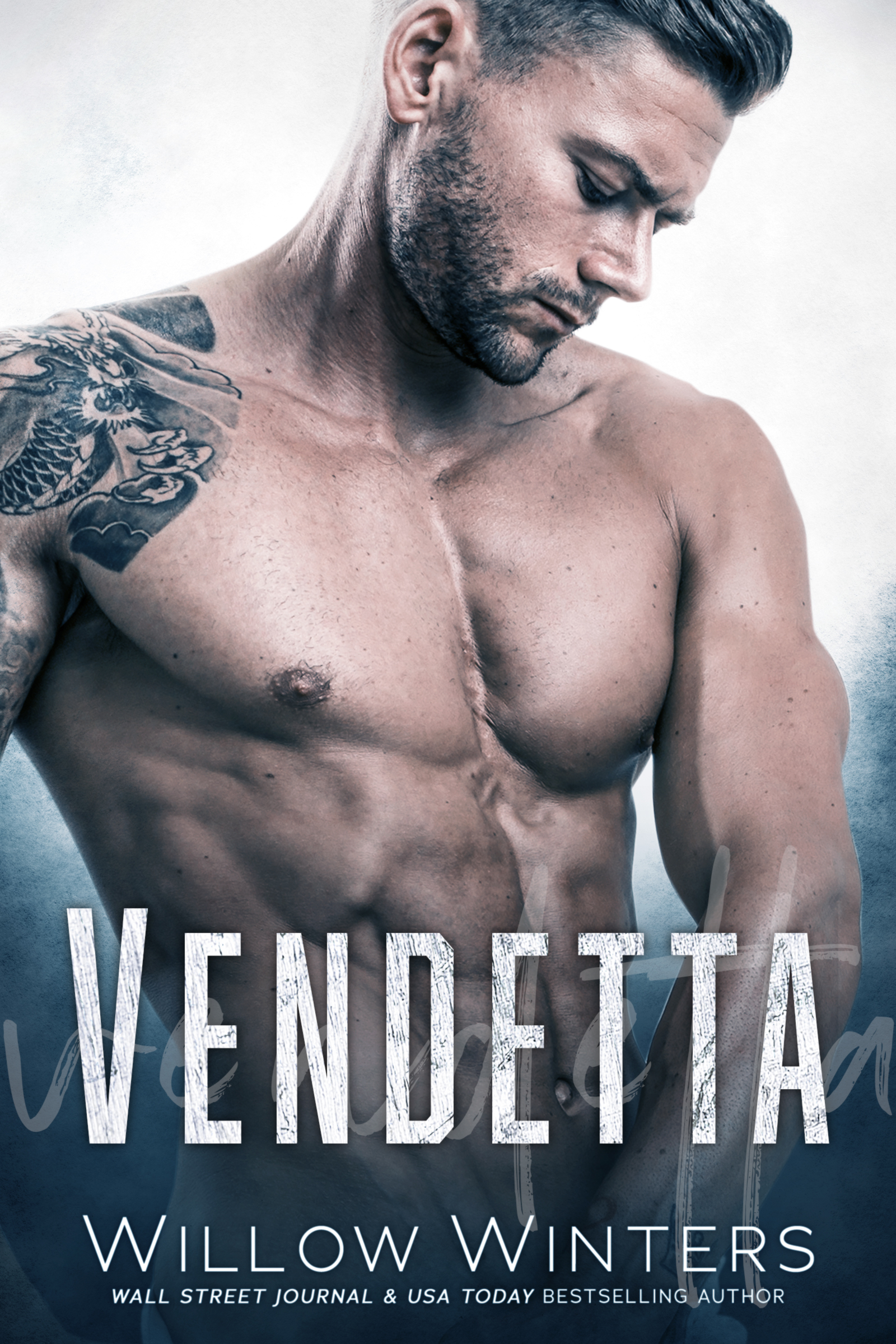 Vendetta book cover