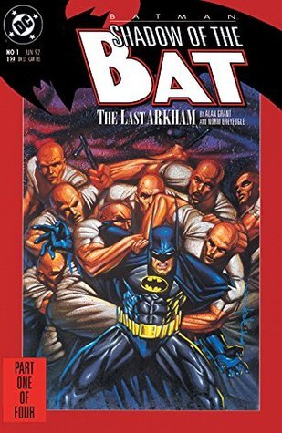 Batman book cover