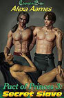 Pact of Princes book cover 3