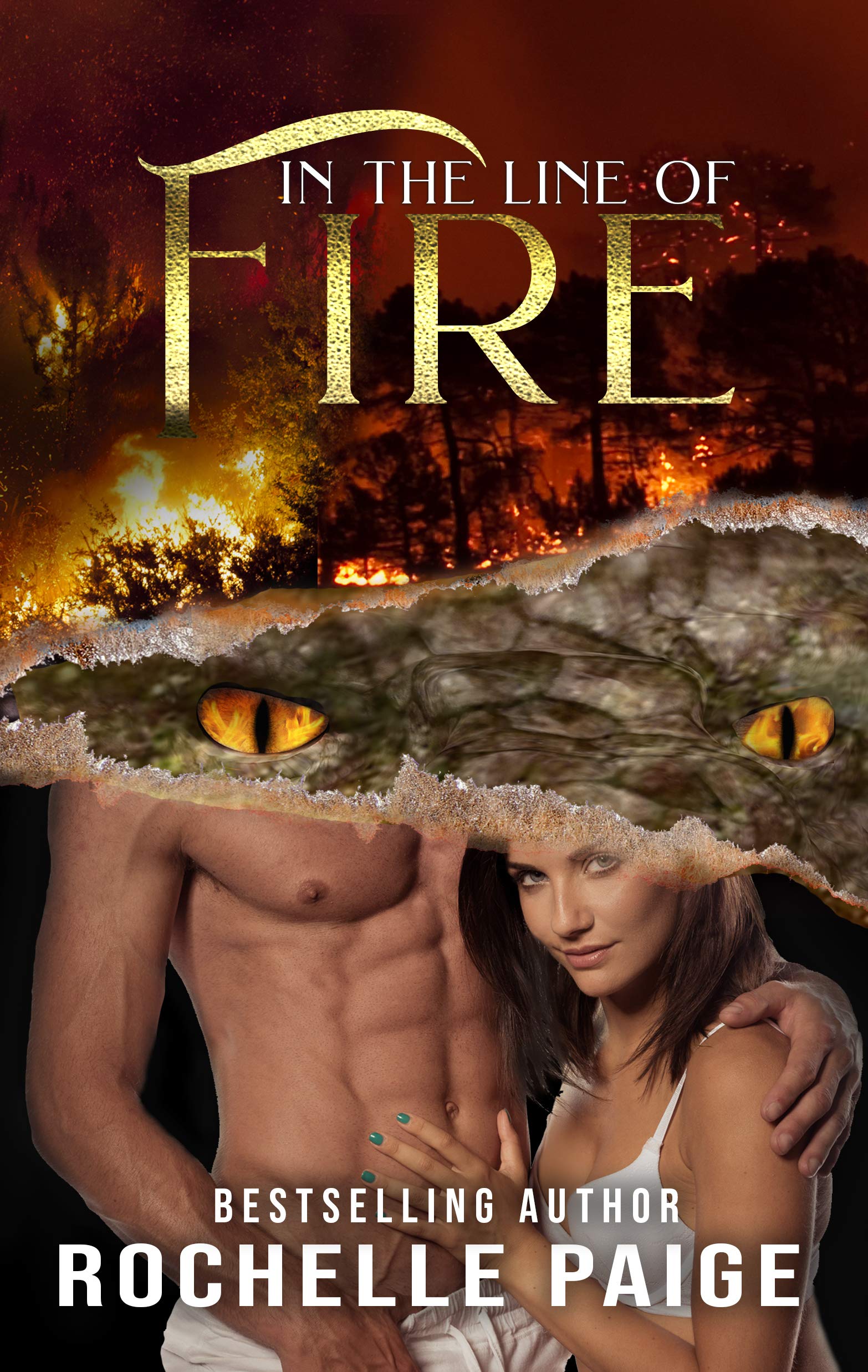 Veles Dragons book cover 2