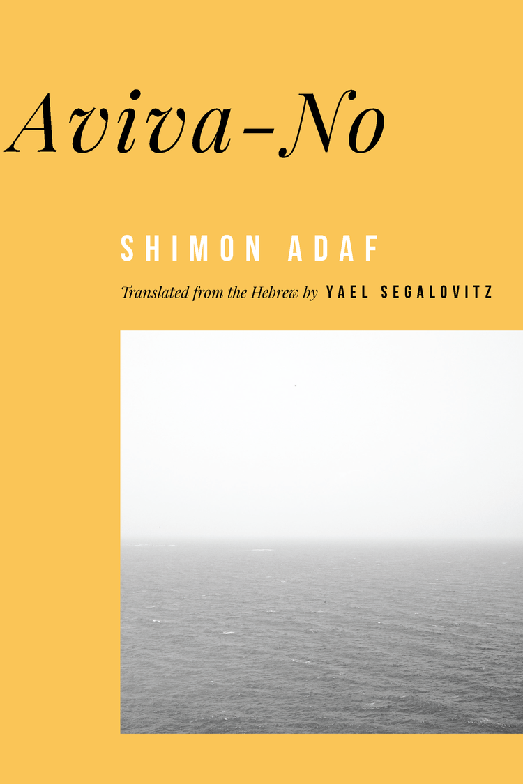 Aviva-No book cover