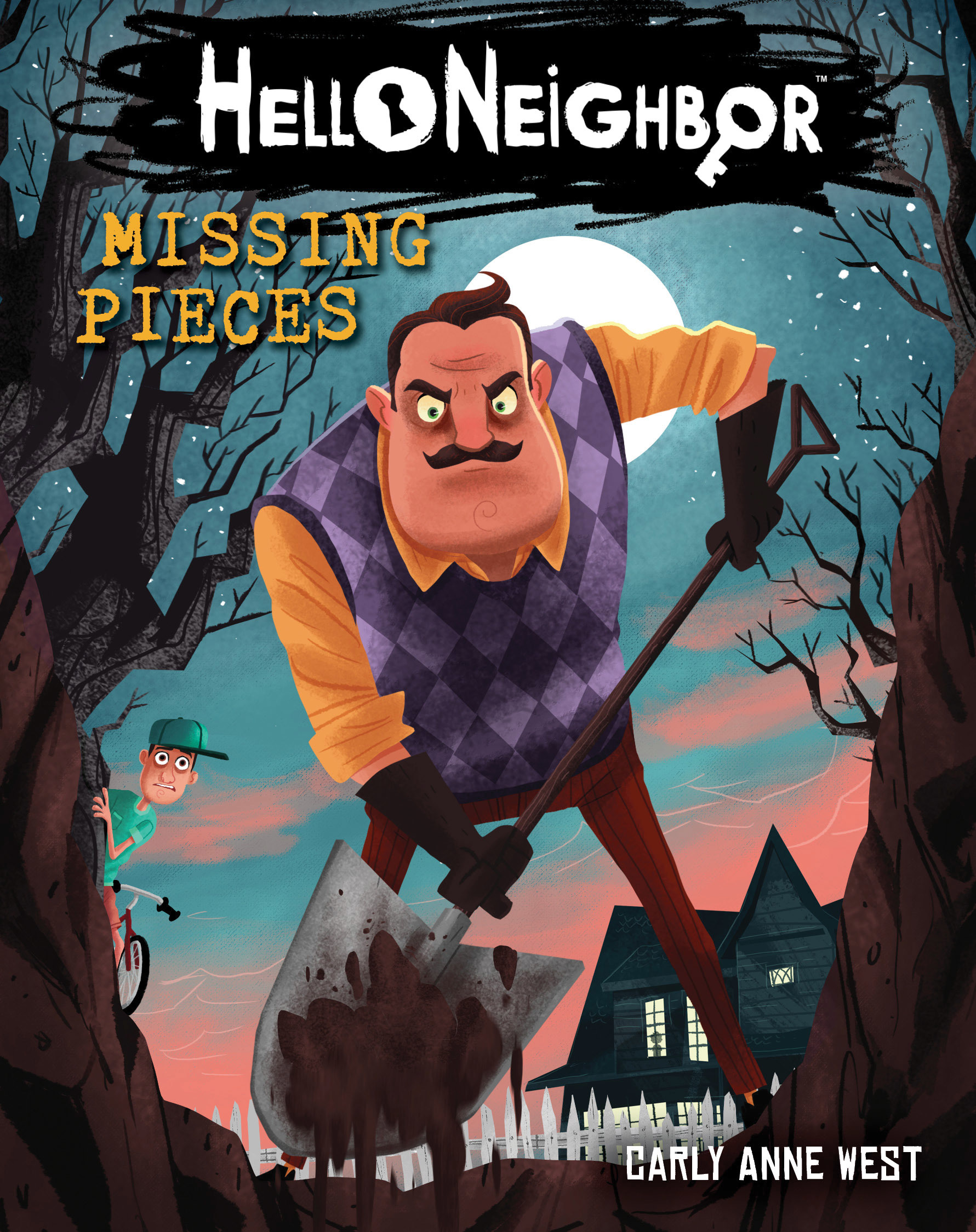 Missing Pieces book cover