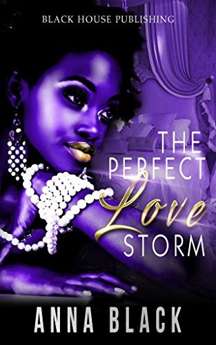 The Perfect Love Storm book cover