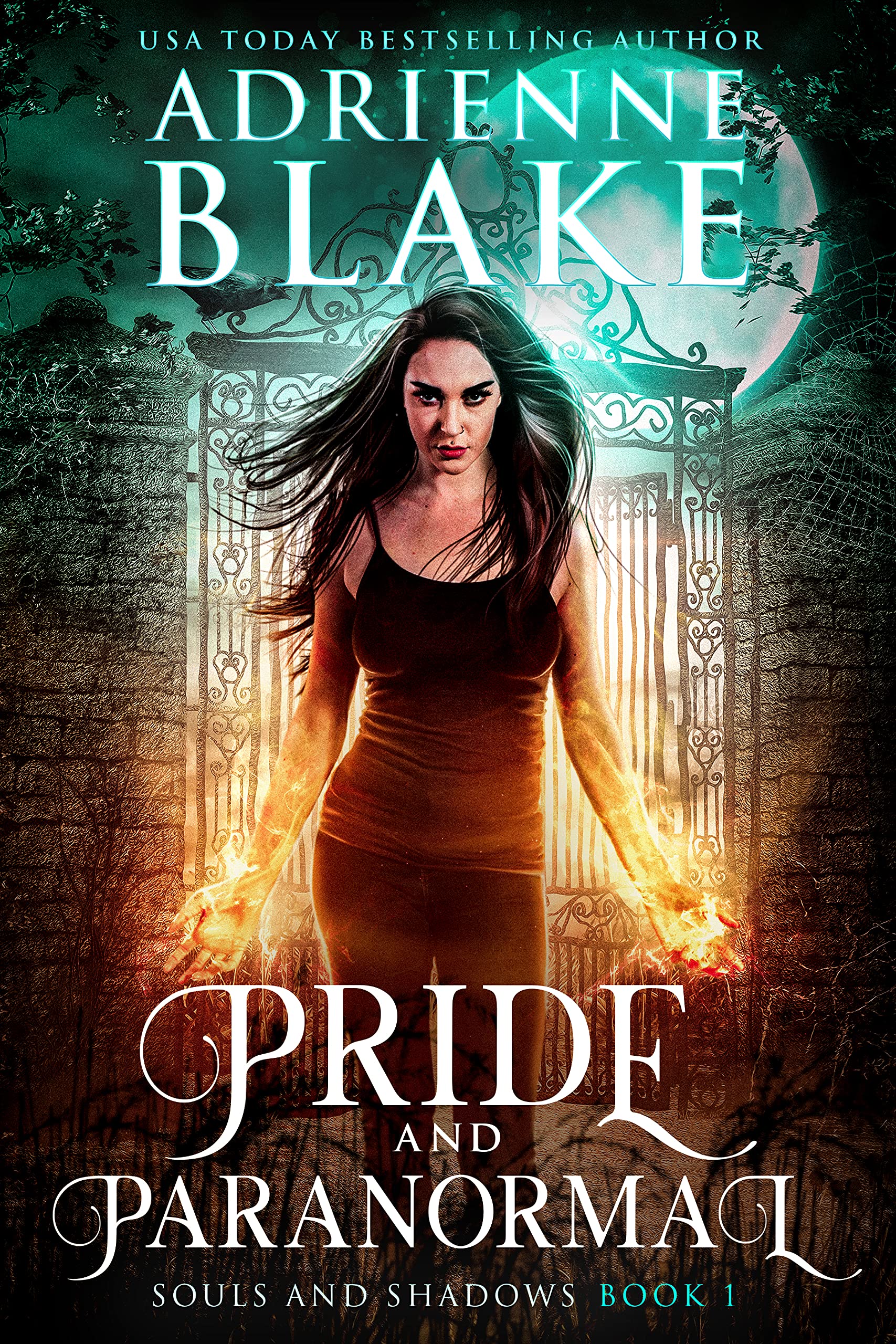Souls and Shadows book cover 1