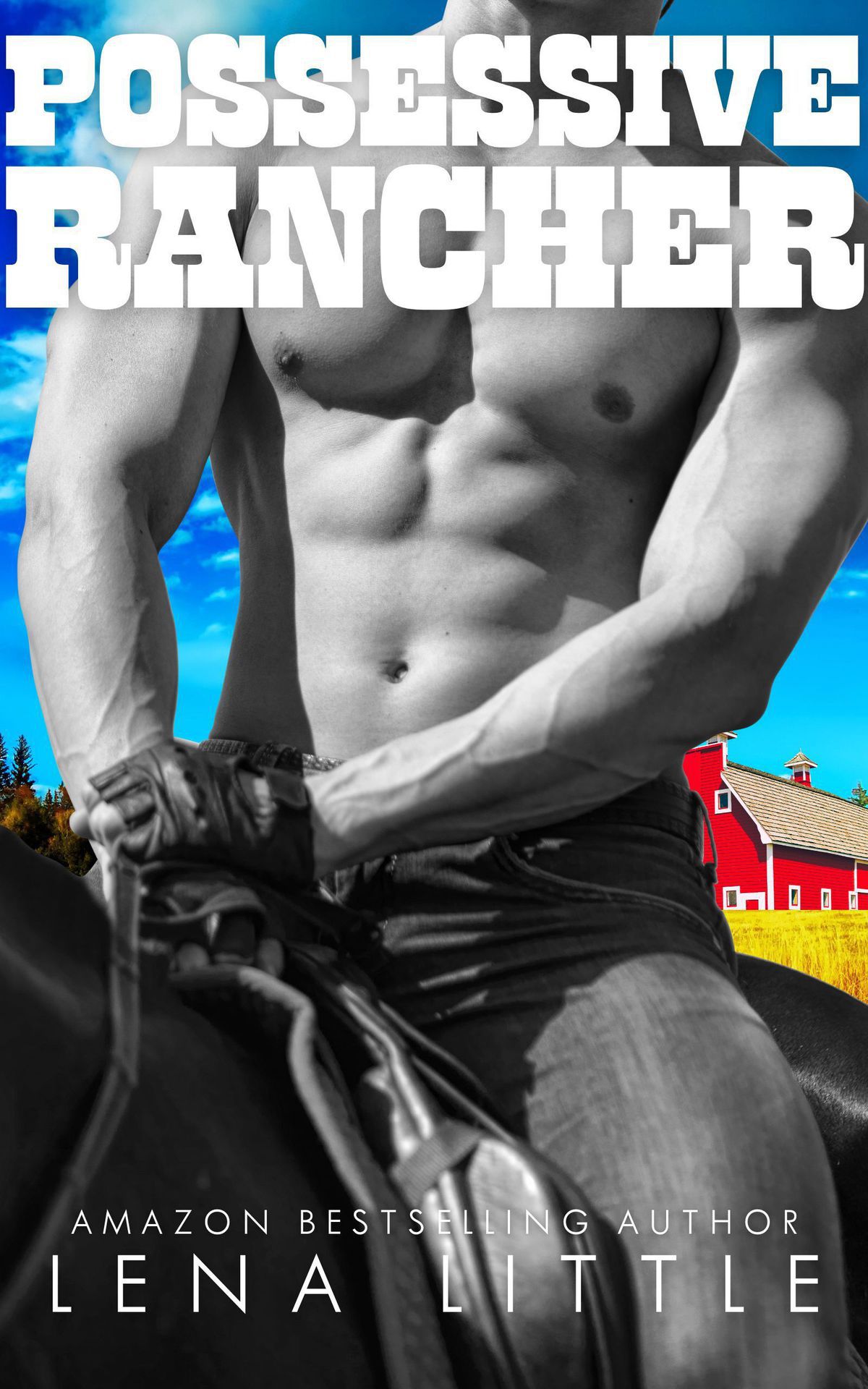 Conklin County Daddies book cover 2