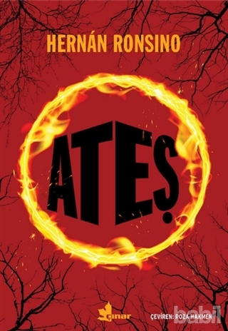 Ateş book cover