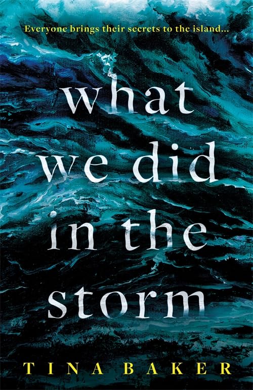 What We Did In the Storm book cover