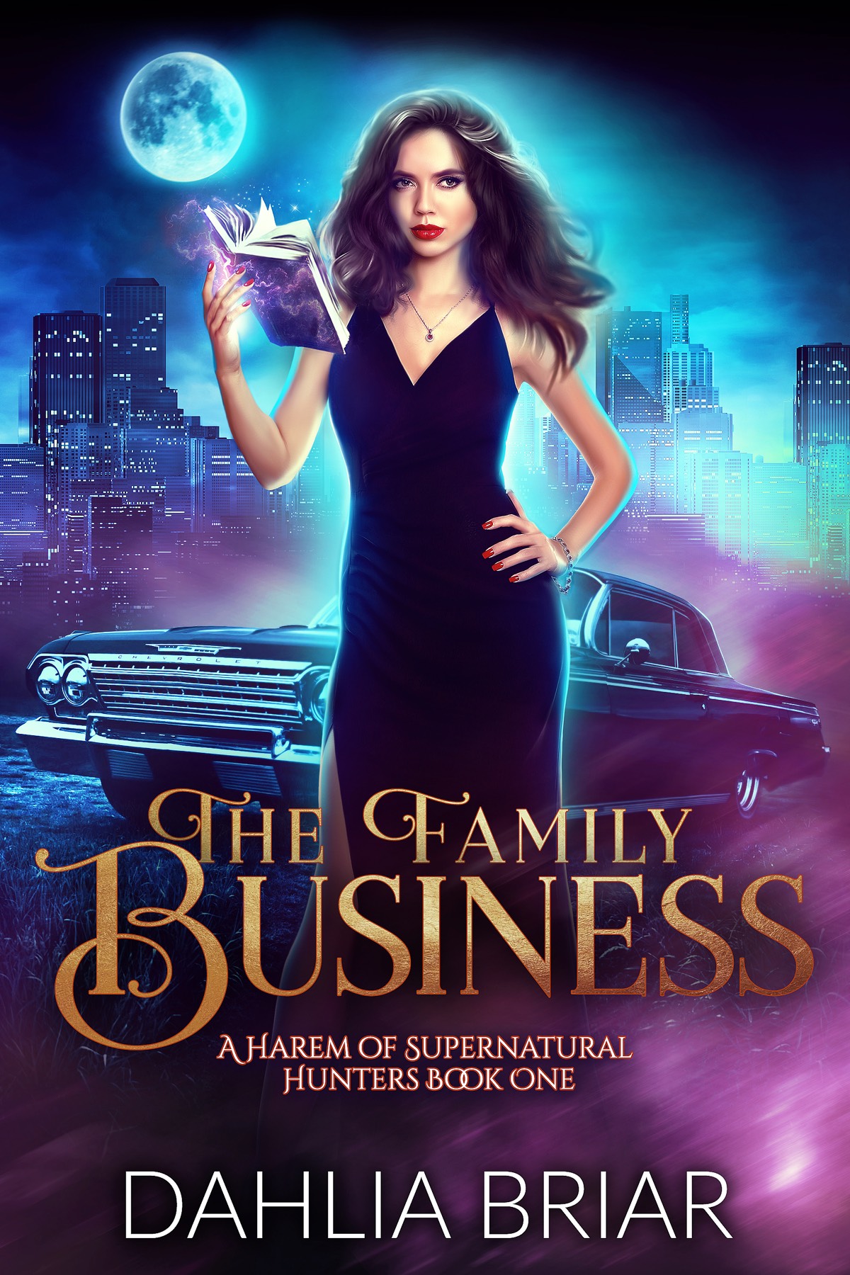 The Family Business book cover