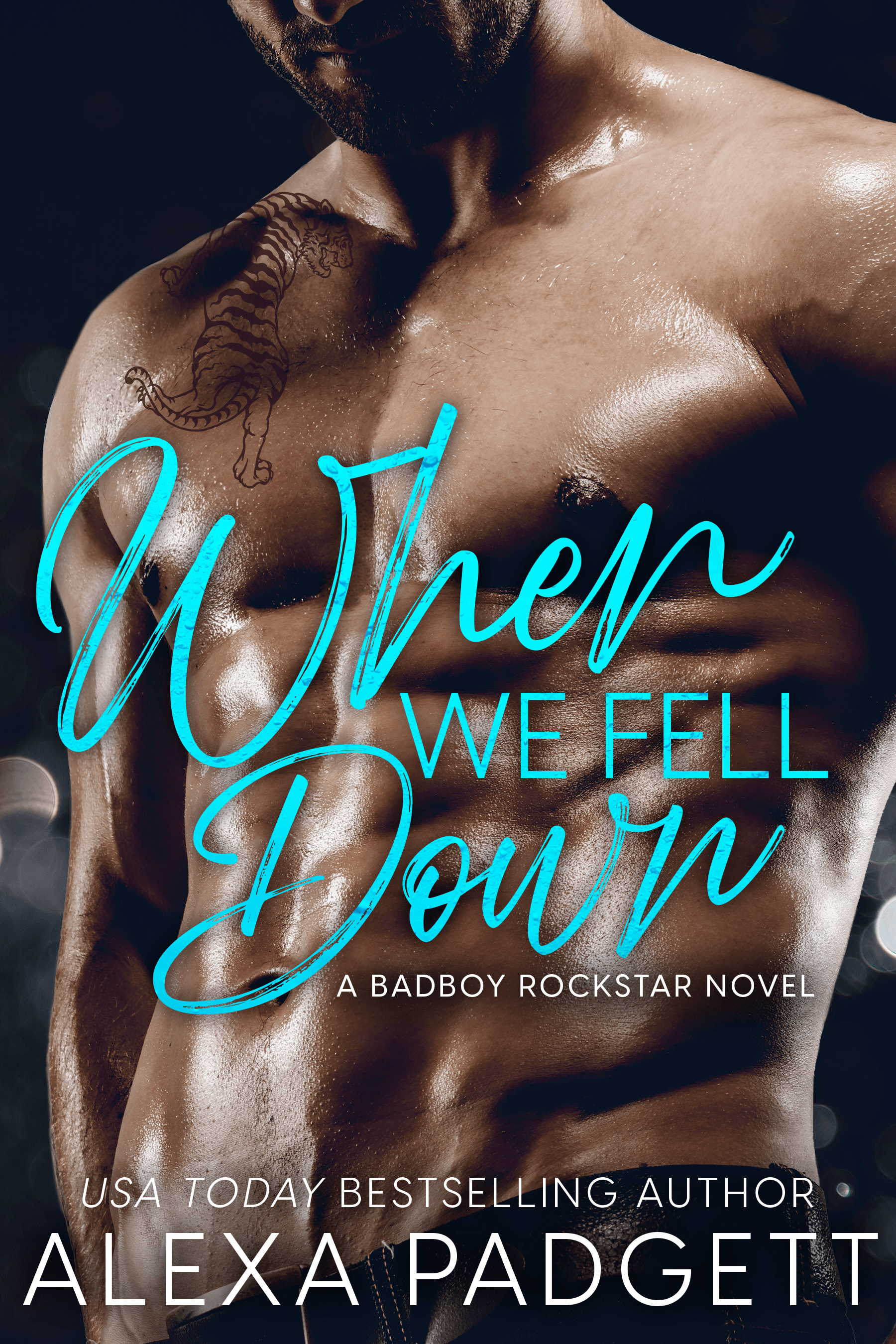 When We Fell Down book cover