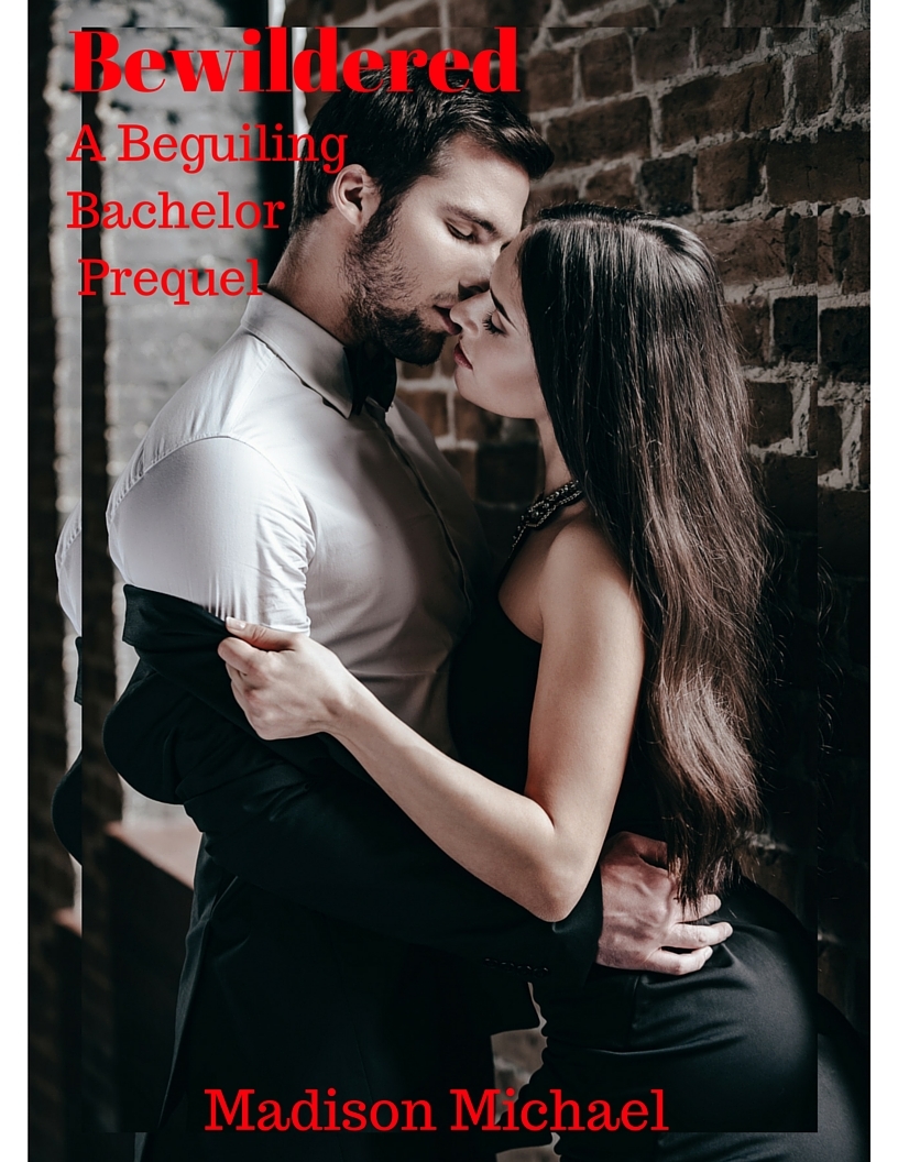 Bewildered book cover
