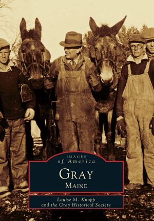 Gray book cover