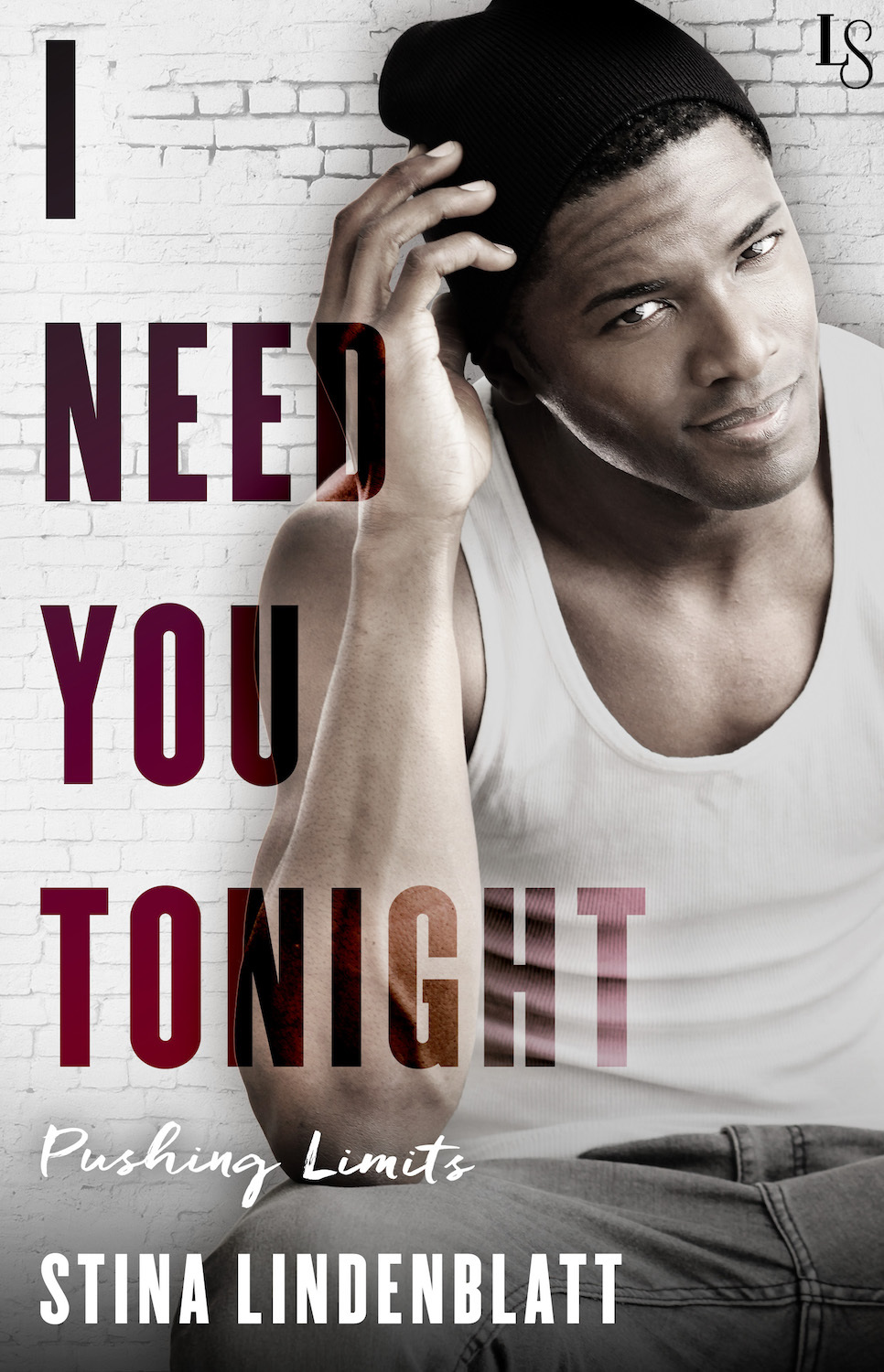 Pushing Limits book cover 3