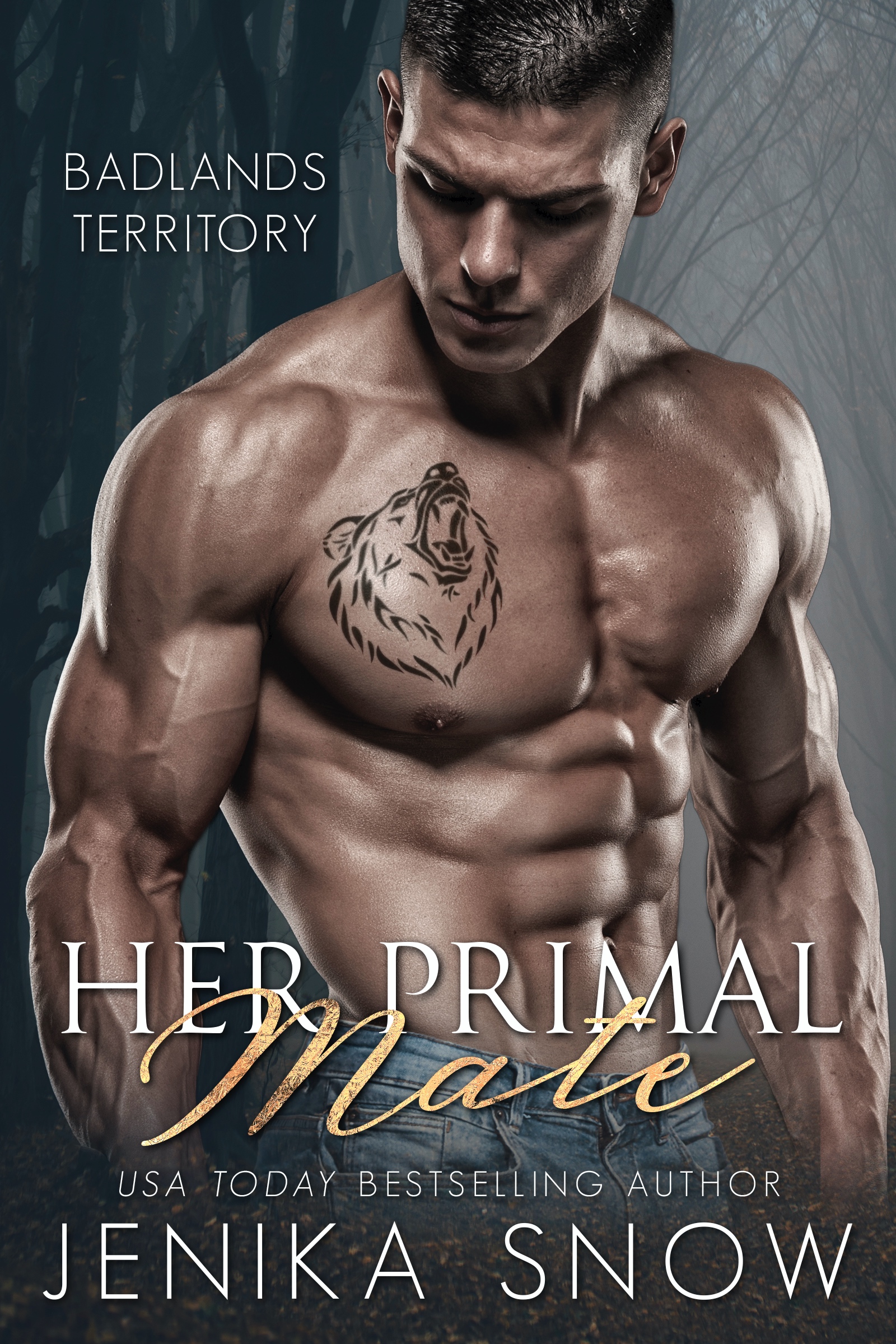 Badlands Territory book cover 1