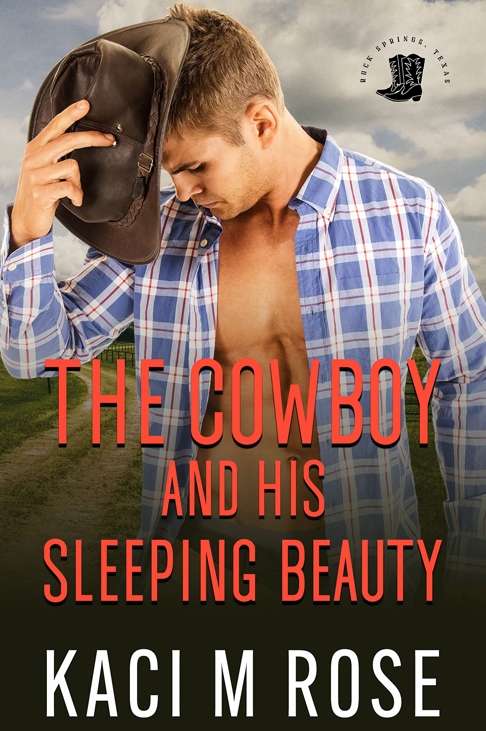 The Cowboy and His Sleeping Beauty book cover