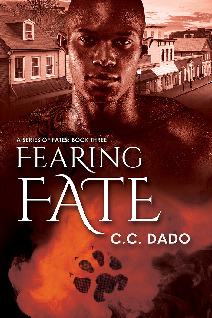 A Series of Fates book cover 3