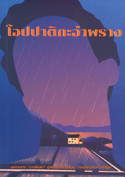 ฝาแฝดยอดนักสืบ book cover 1