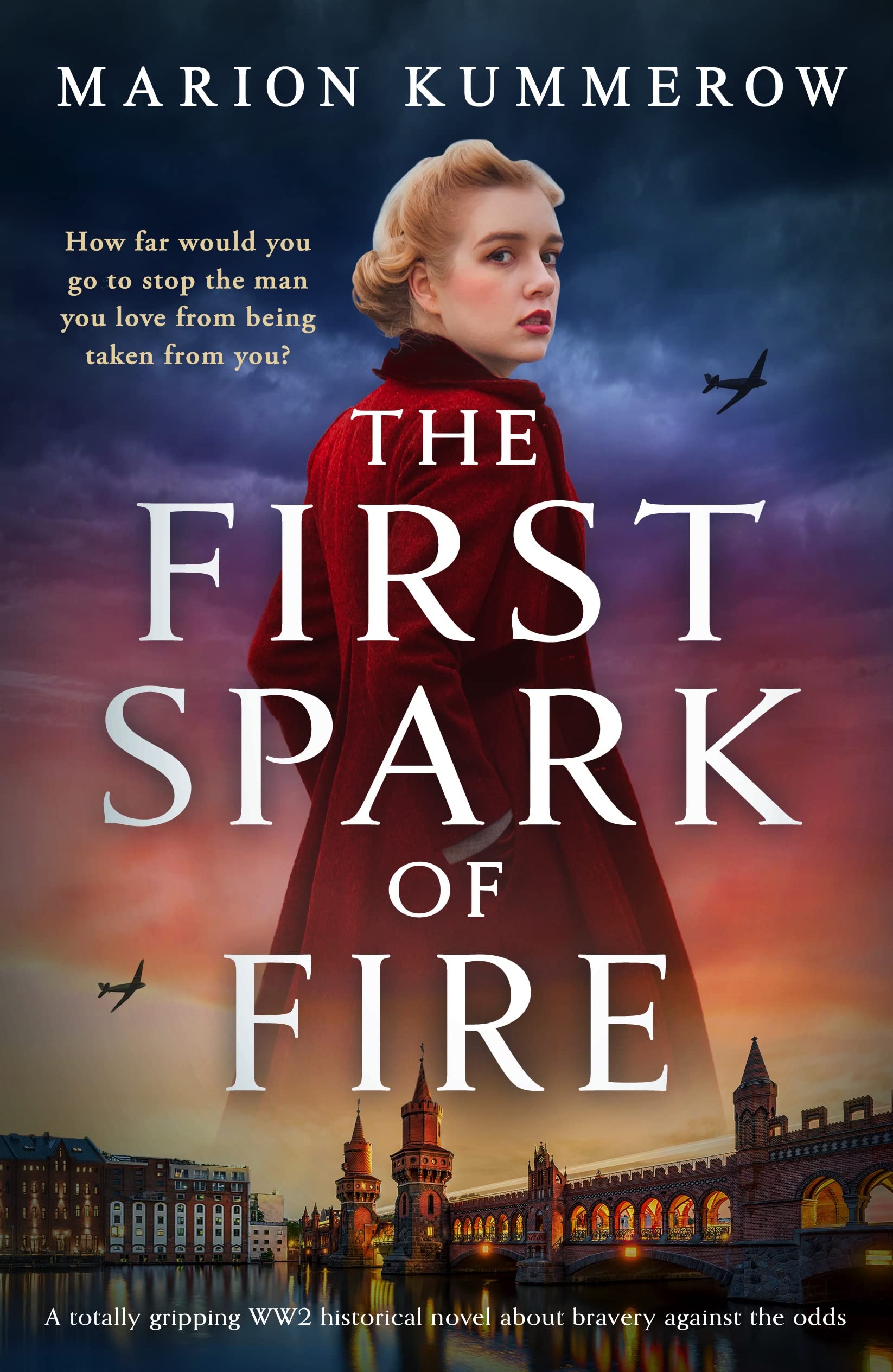 The First Spark of Fire book cover