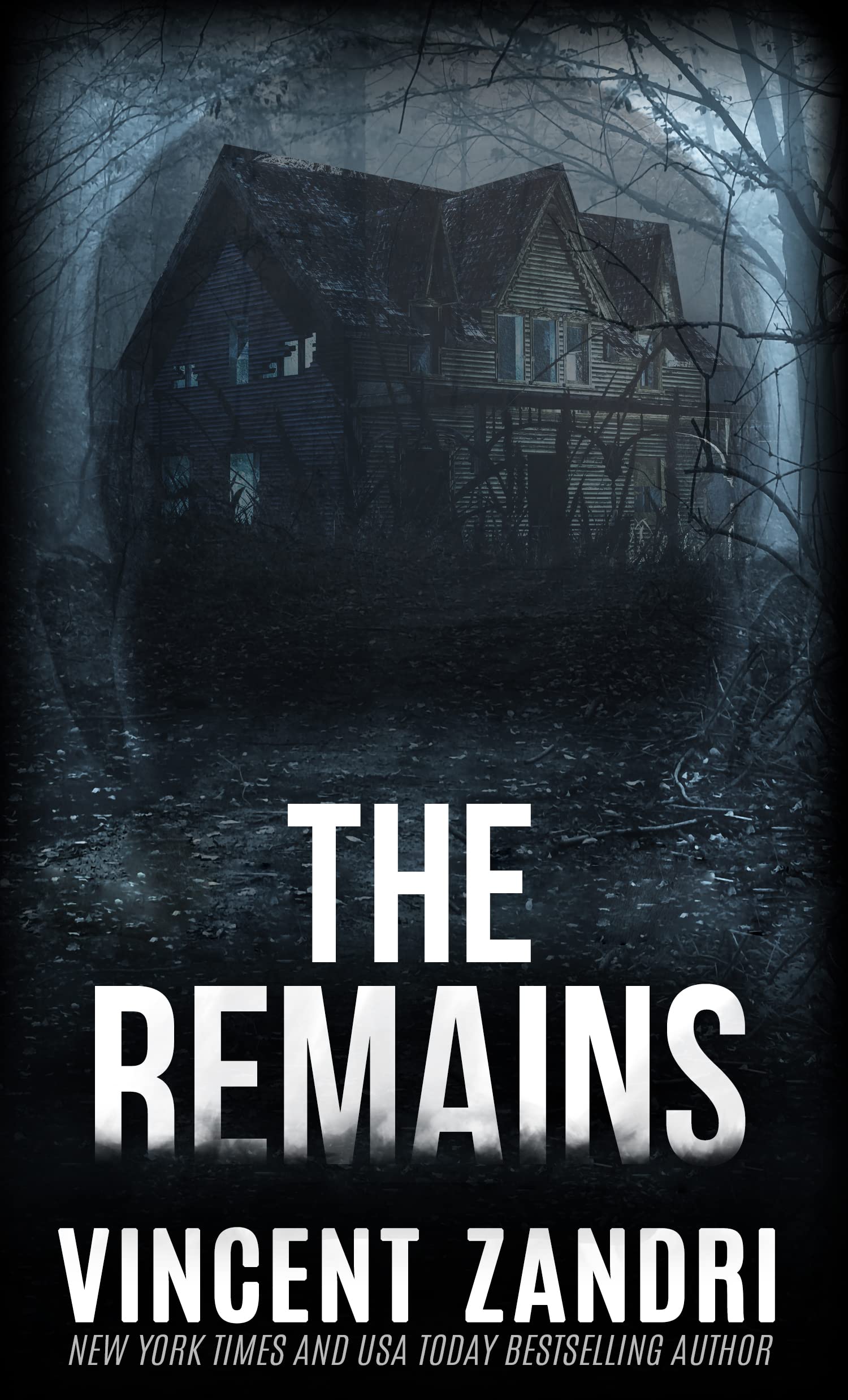 The Remains book cover