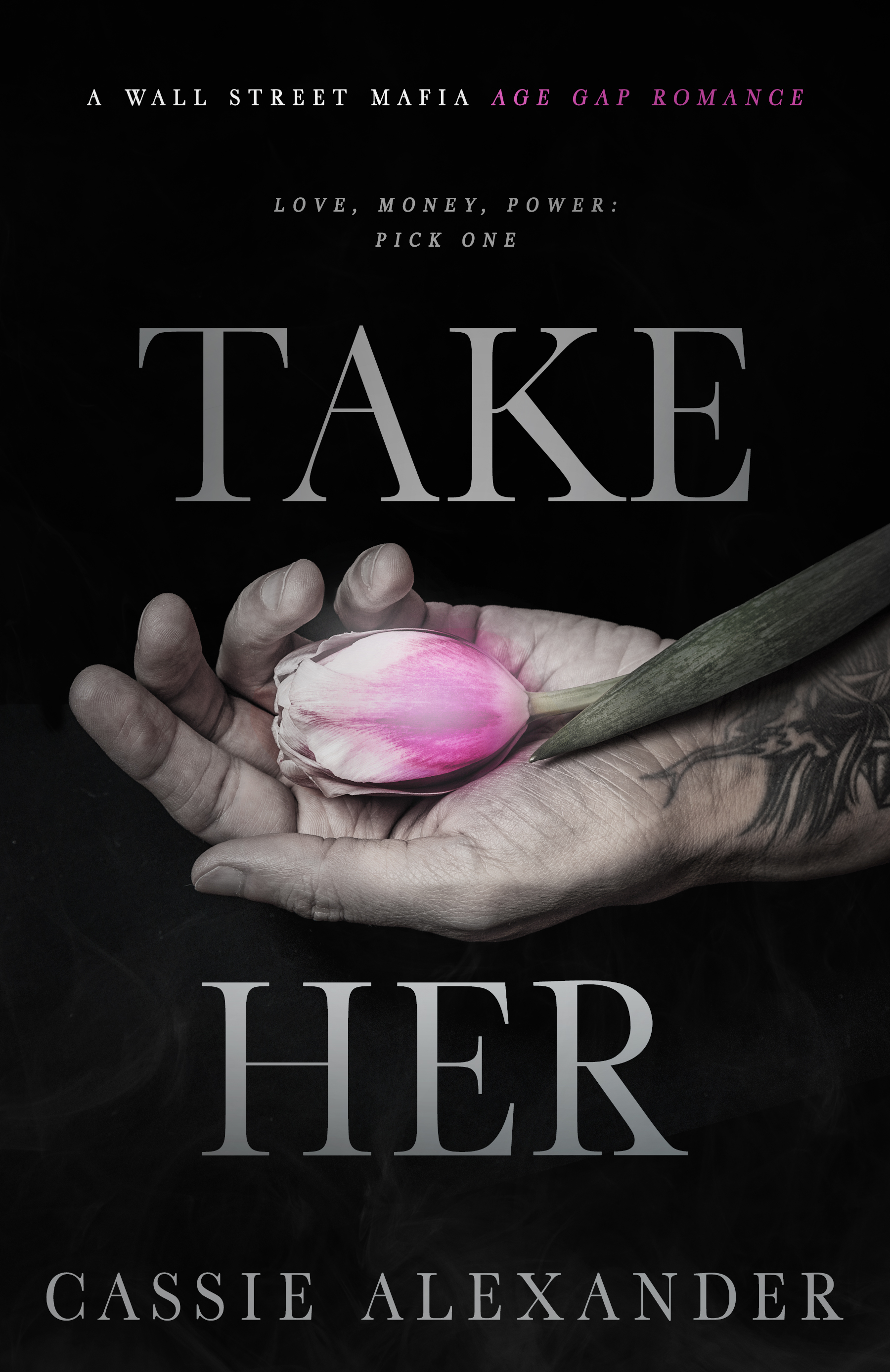 Take Her book cover