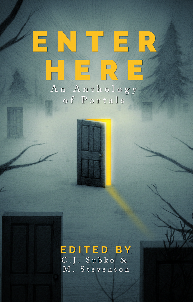 Enter Here book cover