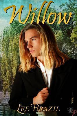 Willow book cover
