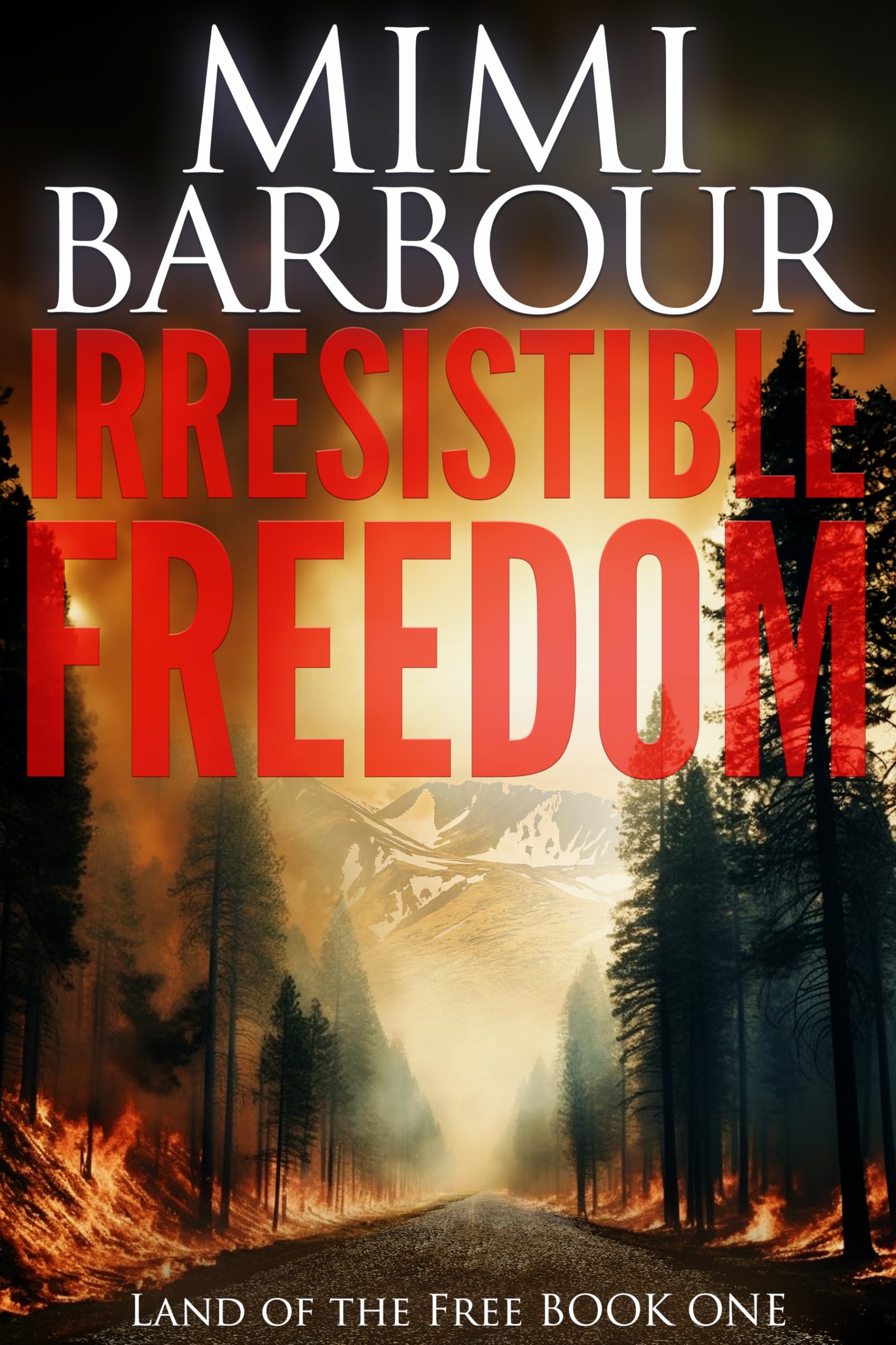 Land of the Free book cover 1
