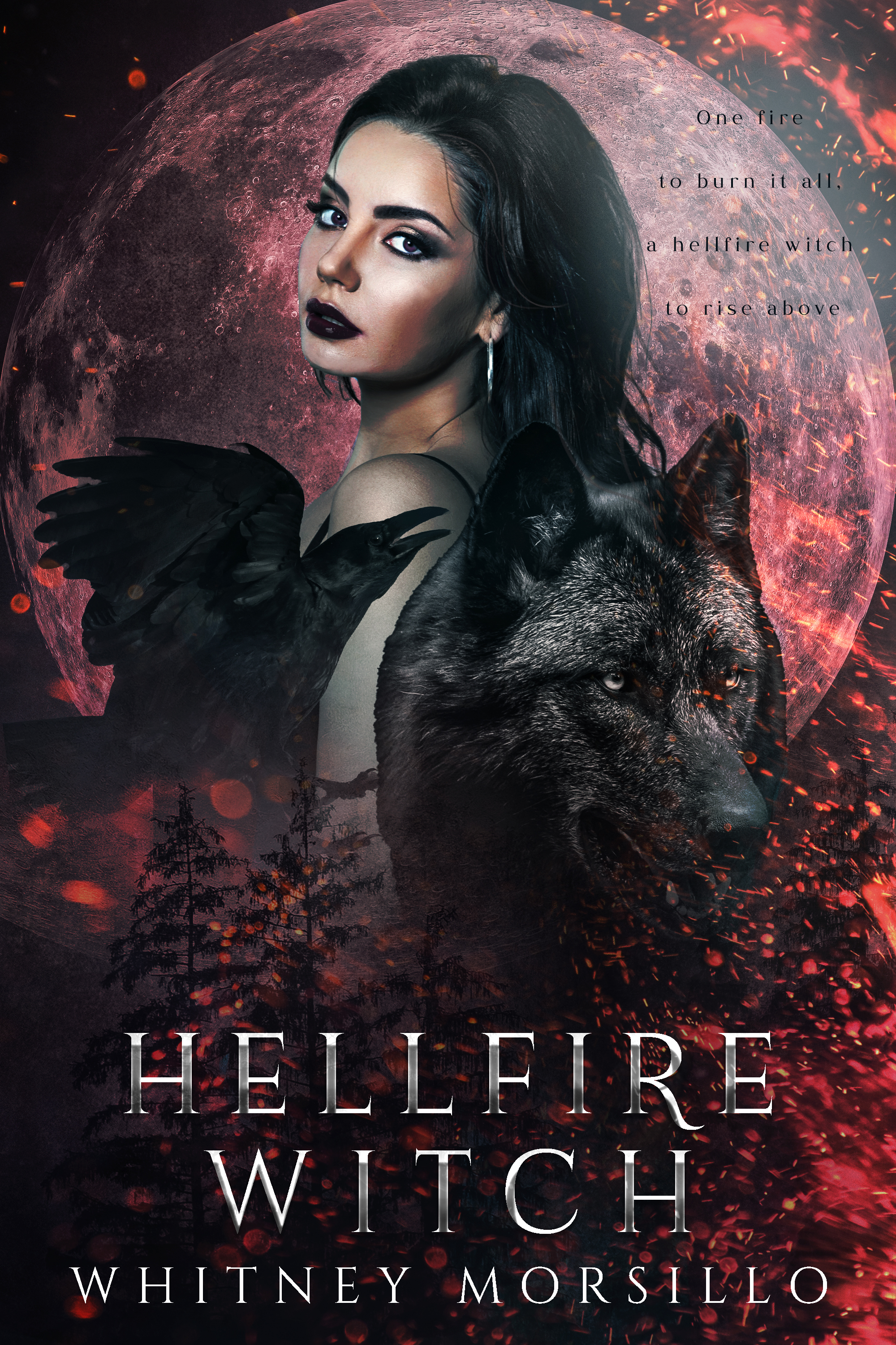 Hellfire Witch book cover