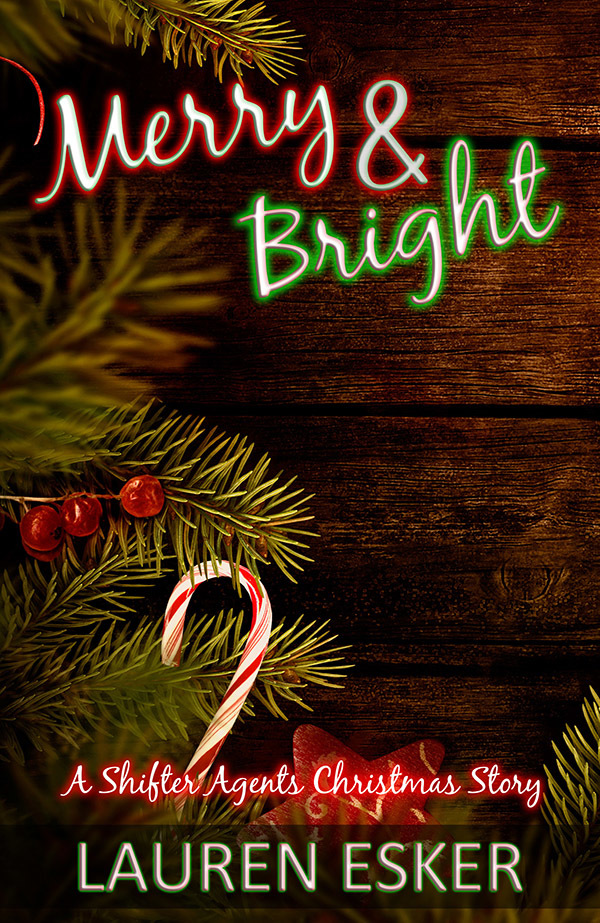Merry and Bright book cover