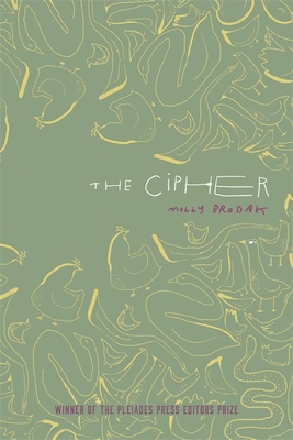 The Cipher book cover