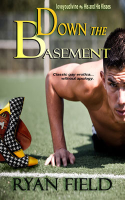 Down in the Basement book cover 1