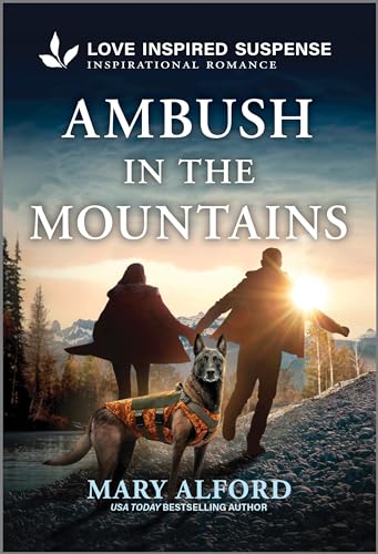 Ambush in the Mountains book cover