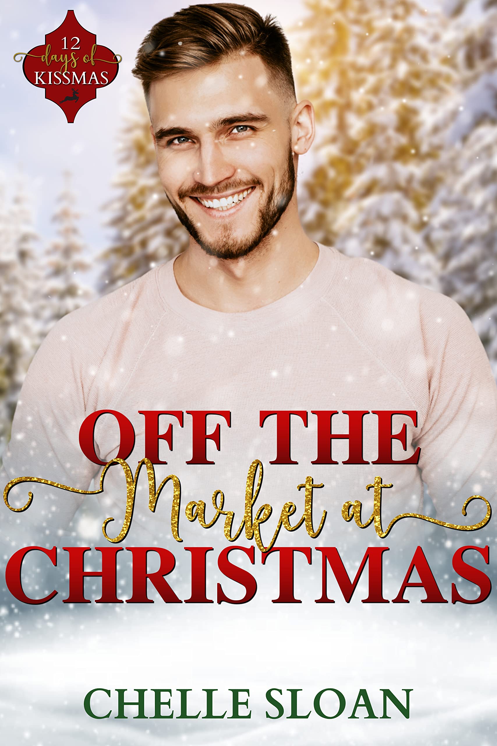 Off the Market at Christmas book cover