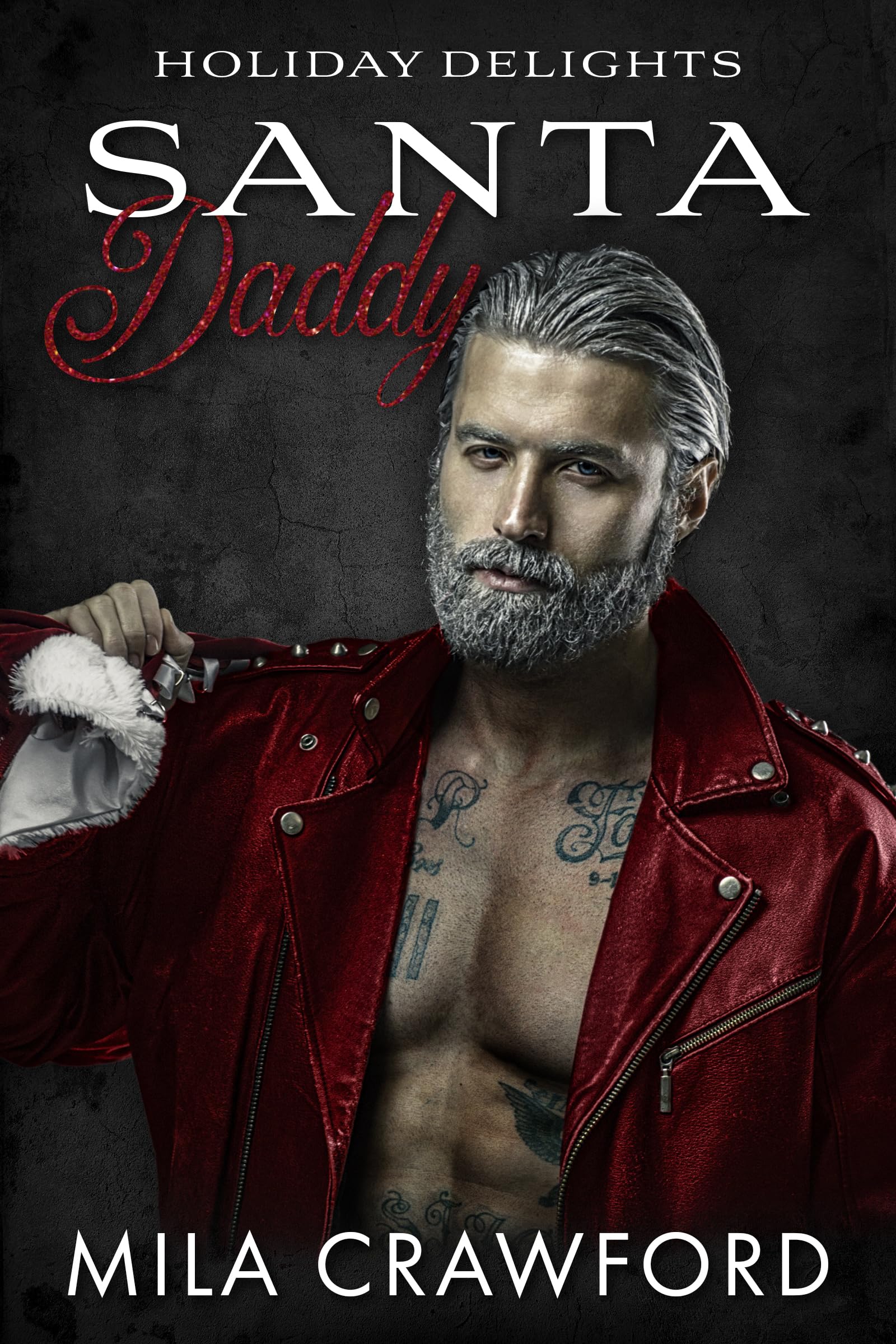 Santa Daddy book cover