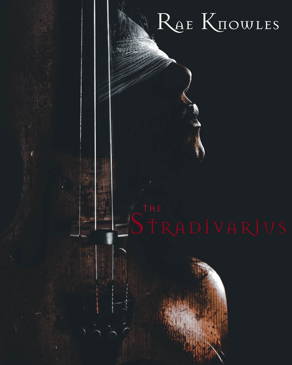 The Stradivarius book cover